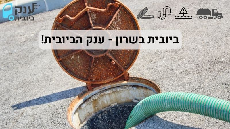 פתיחת סתימות בשרון